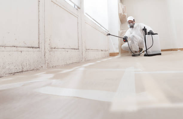 24/7 Emergency Crawl Space Mold Removal experts in Petersburg, IL