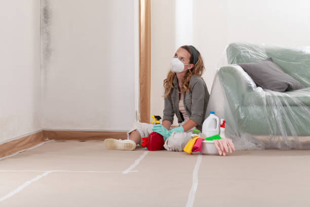 Reliable Crawl Space Mold Removal contractor in Petersburg, IL by WQB Mold Removal