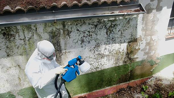 Top rated local Crawl Space Mold Removal specialists in Petersburg, IL